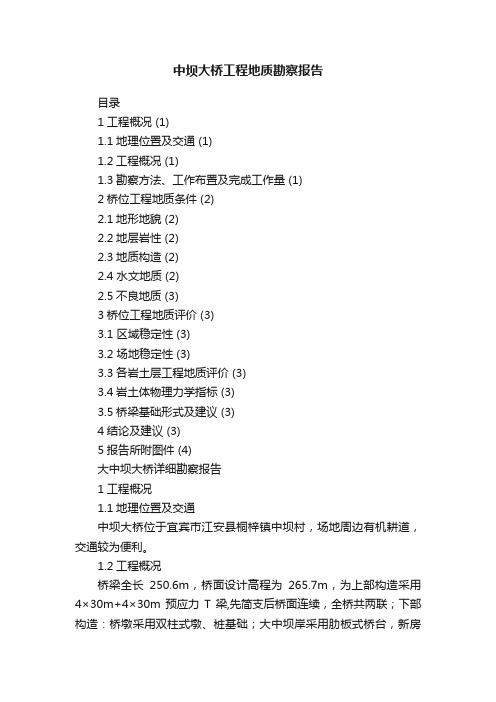 中坝大桥工程地质勘察报告