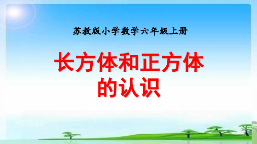 《长方体和正方体》PPT课件