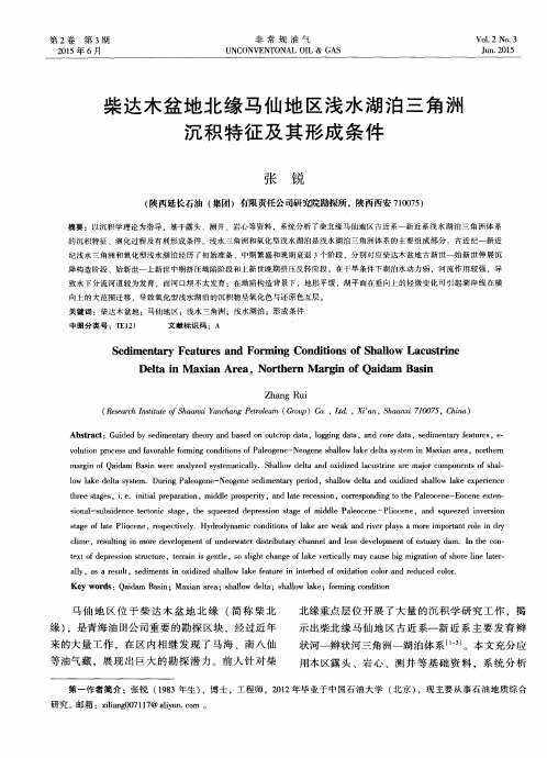 柴达木盆地北缘马仙地区浅水湖泊三角洲沉积特征及其形成条件
