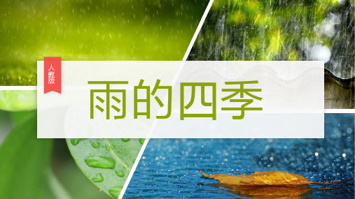 雨的四季七年级上语文教学课件