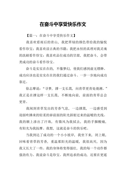 在奋斗中享受快乐作文