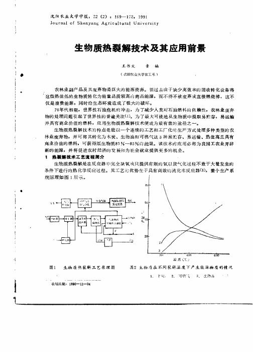 生物质热裂解技术及其应用前景