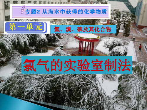 苏教版化学必修一2.1.1 从海水中获得的化学物质-氯气的生产原理 课件(共13张PPT)