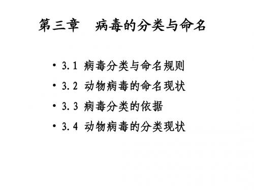 第三章：病毒的分类与命名最新版病毒学精品电子课件