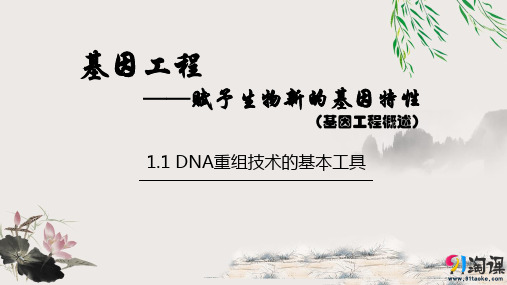 原创16：1.1 DNA重组技术的基本工具