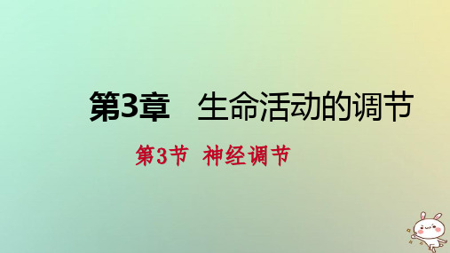 【精品推荐】2020年秋八年级科学上册 第3章 生命活动的调节 第3节 神经调节练习课件 (新版)浙教版