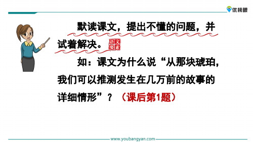 (新课标解读)2020版语文专题 三年级上册语文课件 5  琥珀新课标改编版_26-30