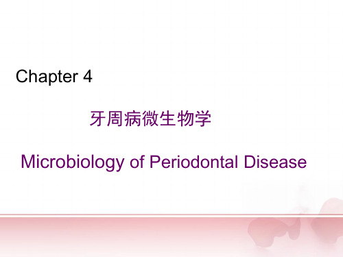 牙周病学：牙周病微生物学