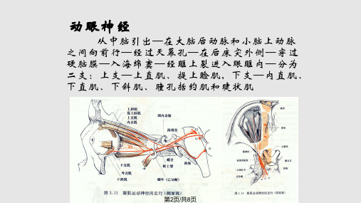 眼科小讲课学习.pptx