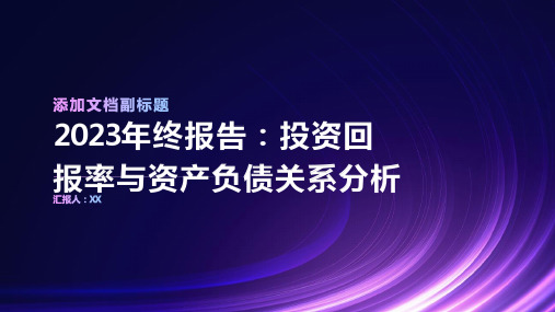 2023年终报告：投资回报率与资产负债关系分析