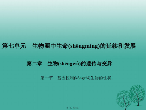 原八年级生物下册第七单元第二章第一节基因控制生物的性状课件(新版)新人教版