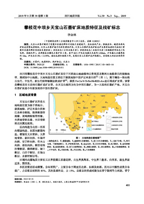 攀枝花中坝乡天宝山石墨矿床地质特征及找矿标志