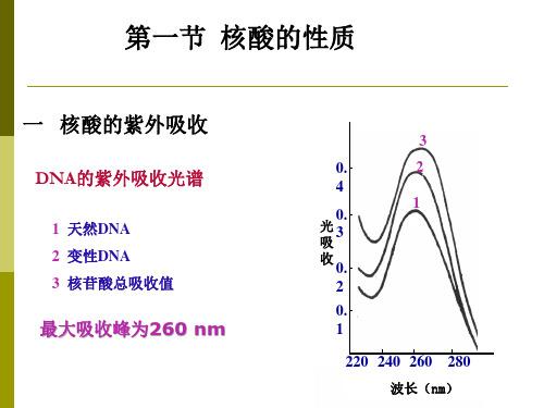 核酸的性质及研究方法