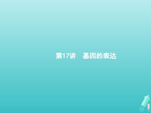 2021版高考生物一轮复习第17讲基因的表达课件新人教版