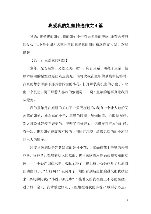 我爱我的姐姐精选作文4篇