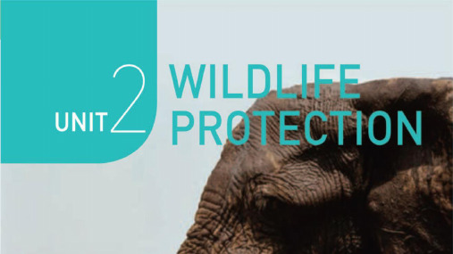 Unit 2 Wildlife protection  Reading and Thinking