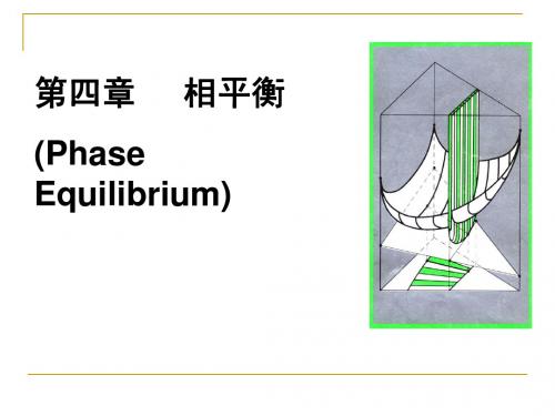 物理化学第四章phase_(1)