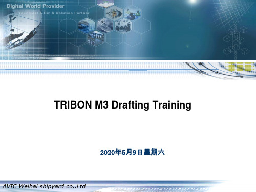 TRIBON M3 DRAFTING 教程(最新)