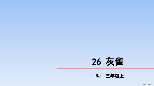 三年级上册语文课件第八单元26灰雀人教部编版PPT30页PPT30页