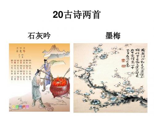 苏教版六下——20.古诗两首