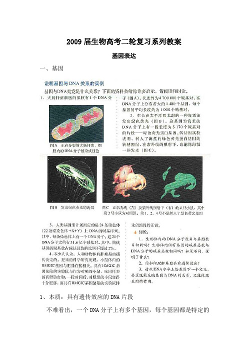 2009届高考生物二轮复习系列教案—基因表达