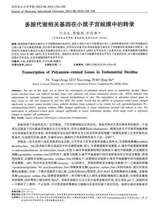 多胺代谢相关基因在小鼠子宫蜕膜中的转录