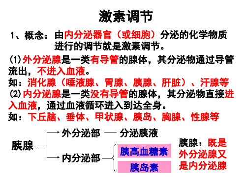 激素调节及神经调节与体液调节的关系