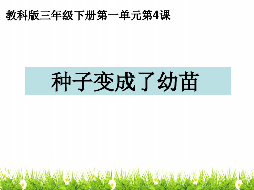 最新教科版科学三年级下册《种子变成了幼苗》精品课件