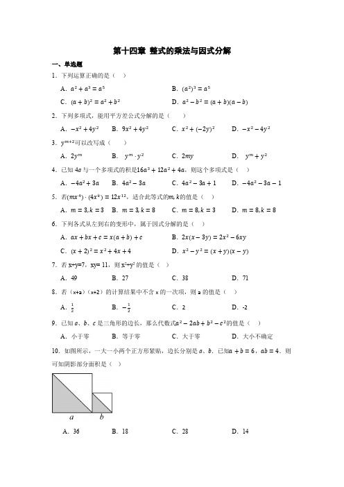 第十四章+整式的乘法与因式分解+单元练习2024-2025学年人教版数学八年级上册