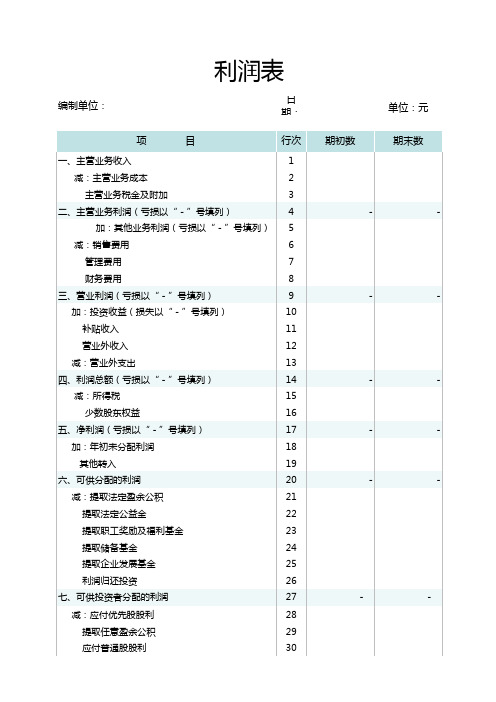 资产负债表-利润表(完美版)