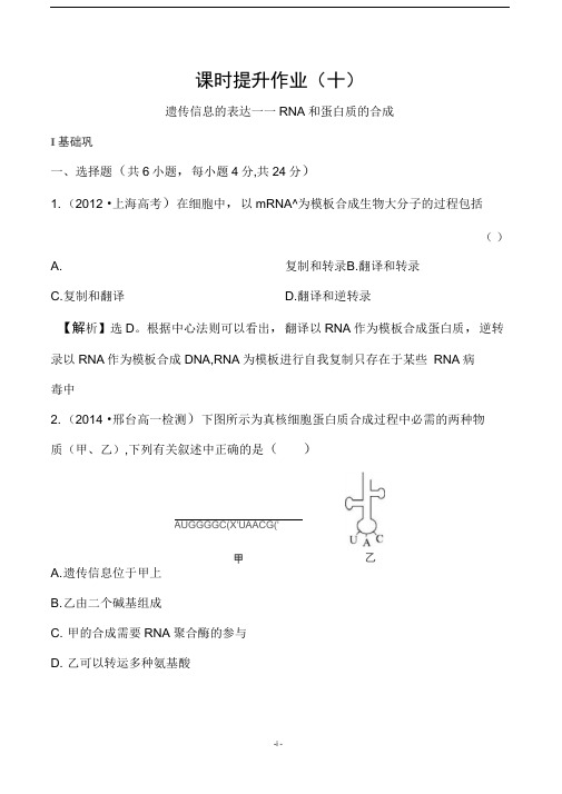 完整版遗传信息的表达 课时作业十汇总