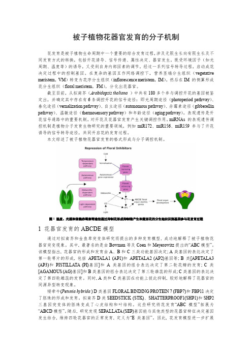 被子植物花器官发育的分子机制