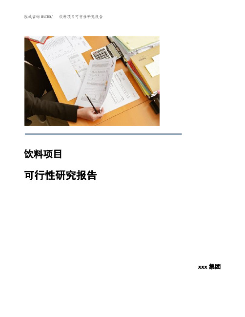 饮料项目可行性研究报告