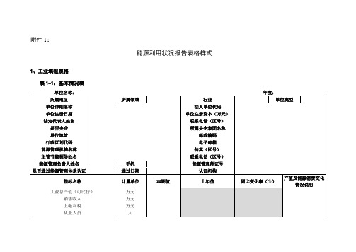 工业能源利用状况报告表格样式