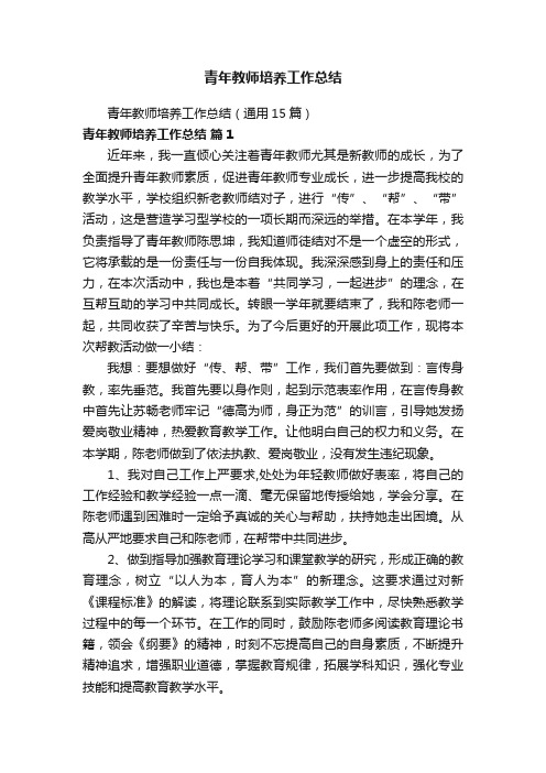 青年教师培养工作总结