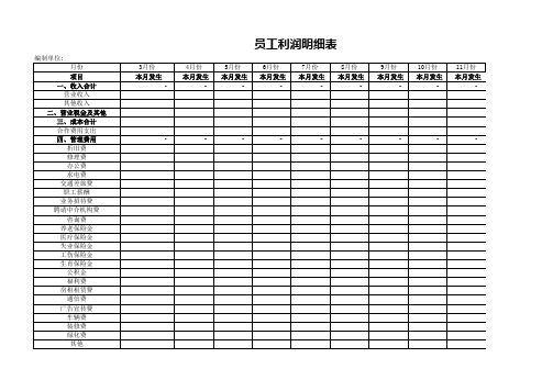 经营利润明细表