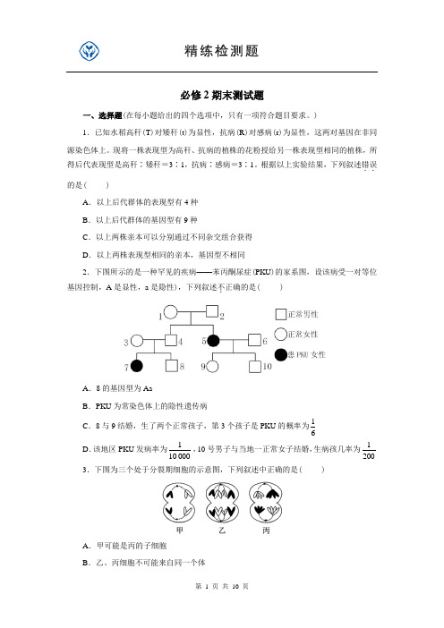 高中生物必修2期末测试题及答案