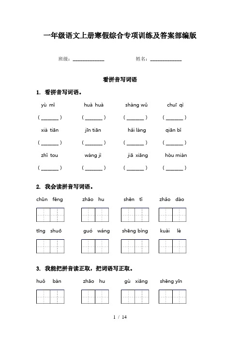 一年级语文上册寒假综合专项训练及答案部编版