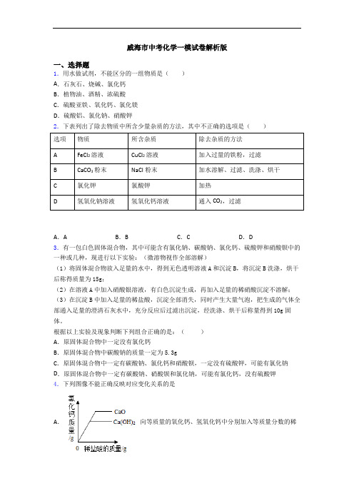 威海市中考化学一模试卷解析版