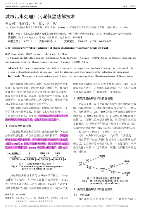 城市污水处理厂污泥低温热解技术