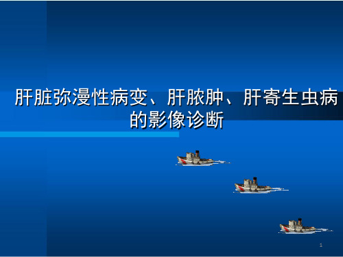 肝脏弥漫性病变、肝脓肿、肝寄生虫病影像诊断