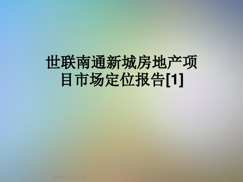 世联南通新城房地产项目市场定位报告[1]