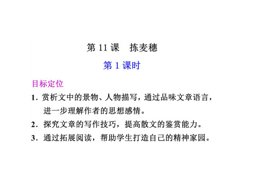 高一语文拣麦穗1省公开课获奖课件市赛课比赛一等奖课件