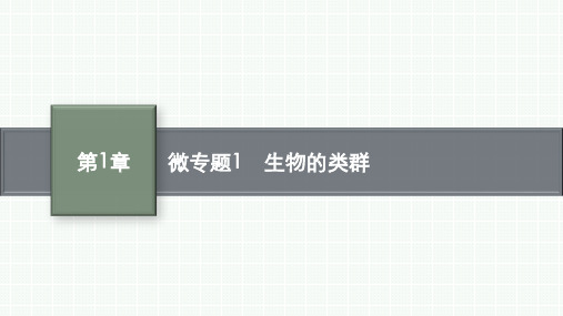 人教版高中生物学必修1精品课件 第1章 走近细胞 微专题1 生物的类群