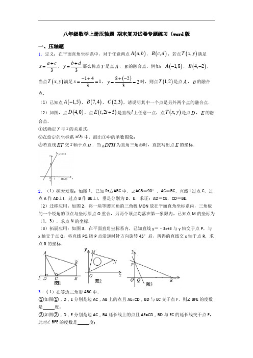 八年级数学上册压轴题 期末复习试卷专题练习(word版