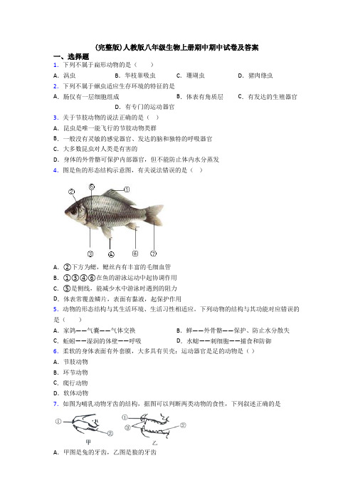 (完整版)人教版八年级生物上册期中期中试卷及答案