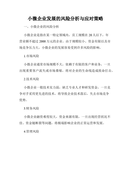 小微企业发展的风险分析与应对策略