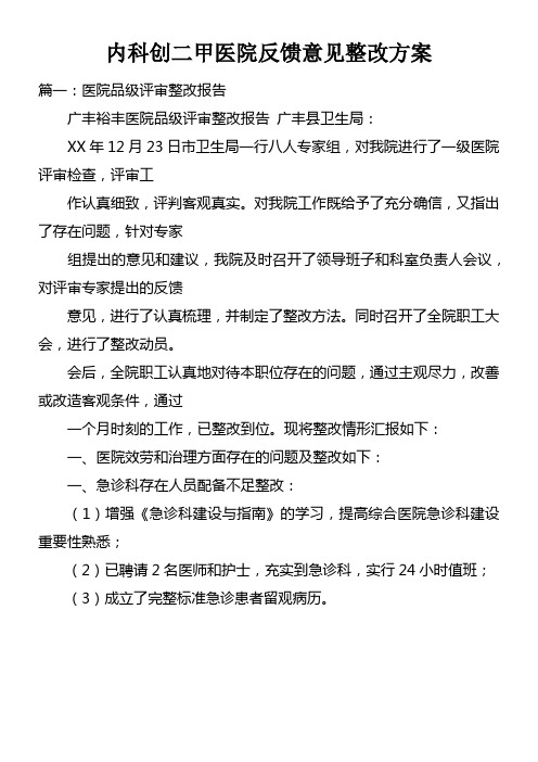 内科创二甲医院反馈意见整改方案