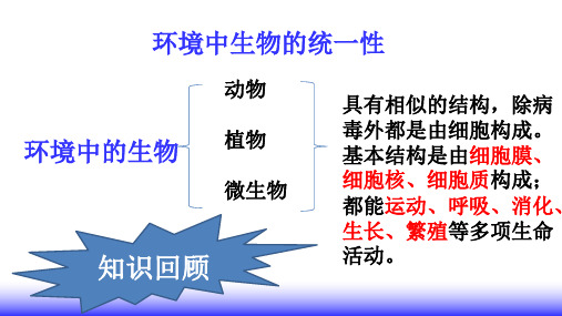 苏科版七年级下册10.1水中的动物 课件(共57张PPT)