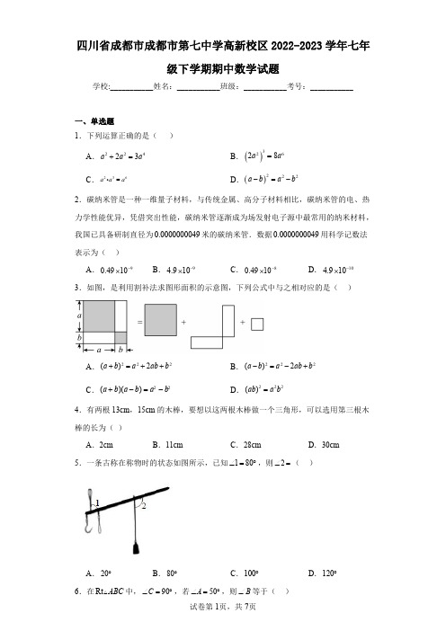 四川省成都市成都市第七中学高新校区2022-2023学年七年级下学期期中数学试题